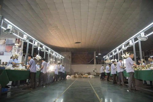 光影新境，幸福為燈 艾摩燈3.0極簡輕奢展廳與大師設計的共鳴